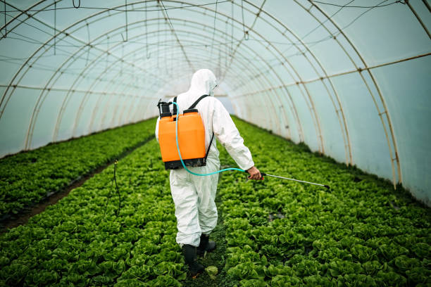 Best Emergency Pest Control  in Moss Bluff, LA