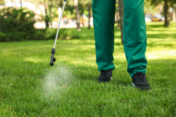 Best Pest Control Near Me in Moss Bluff, LA