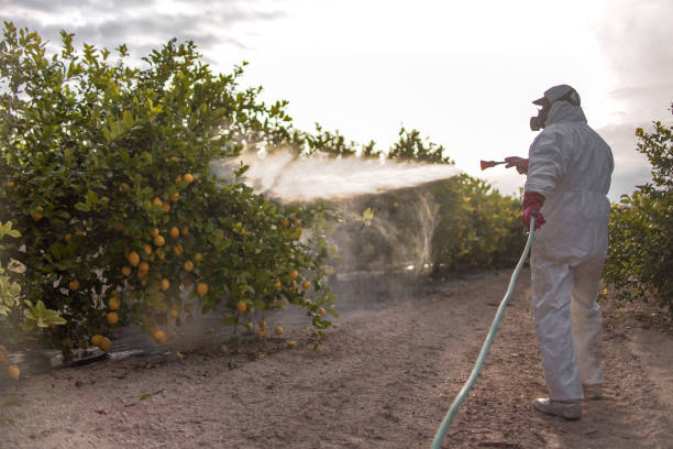 Best Rat Extermination Near Me  in Moss Bluff, LA