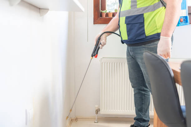 Best Bed Bug Extermination  in Moss Bluff, LA