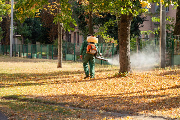 Best Mosquito Control Services  in Moss Bluff, LA