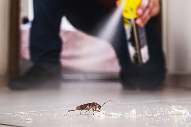 Bird Control in Moss Bluff, LA