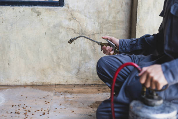 Best Commercial Pest Control Services  in Moss Bluff, LA